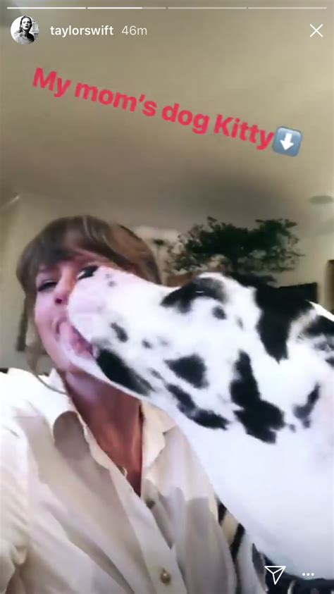 taylor swift fans in doggy|taylor swift dog made biscuits.